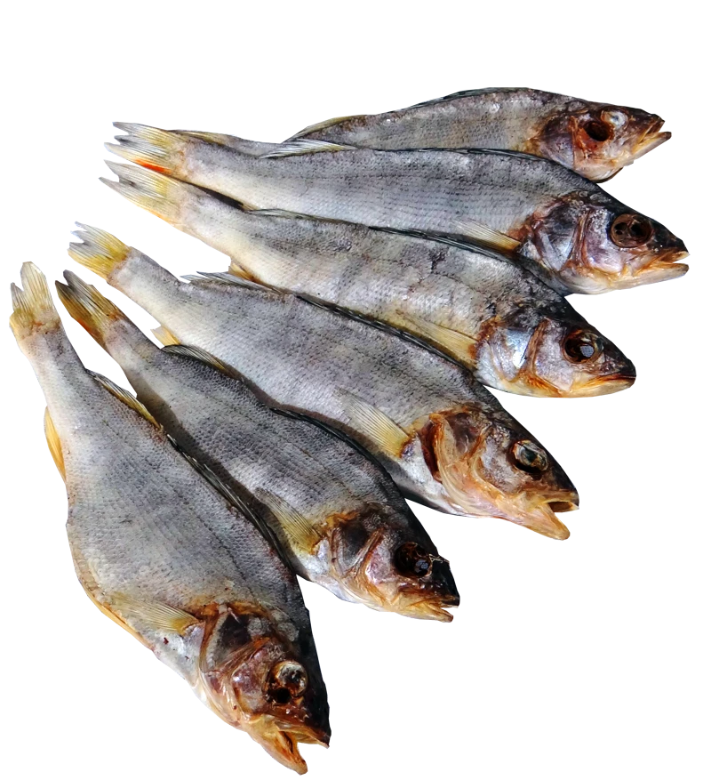 Категория